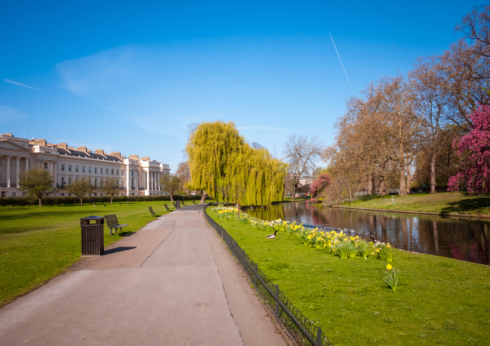 Where to See Spring Blooms in Central London